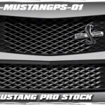 Custom airbrushed grill kit that fits a Hairy Glass 2006-2009 Ford Mustang Pro Stock front end.