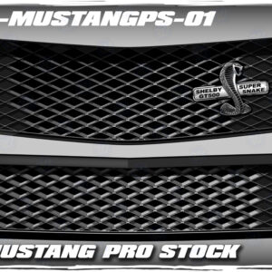 Custom airbrushed grill kit that fits a Hairy Glass 2006-2009 Ford Mustang Pro Stock front end.